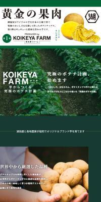 KOIKEYAFARM LP design (Snack foods, gum, and candy / Green tones / Stylish type) PC version