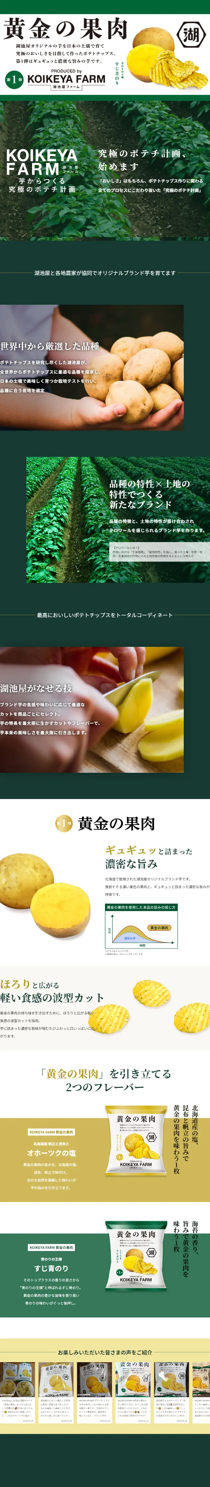 KOIKEYA FARMのLPデザイン（スナック・ガム・あめ・グミ／グリーン系／スタイリッシュ系）PC版