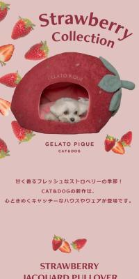 キャット＆ドッグ ストロベリー コレクションのLPデザイン（ペットフード ・ ペット用品／ピンク系／かわいい系）スマホ版