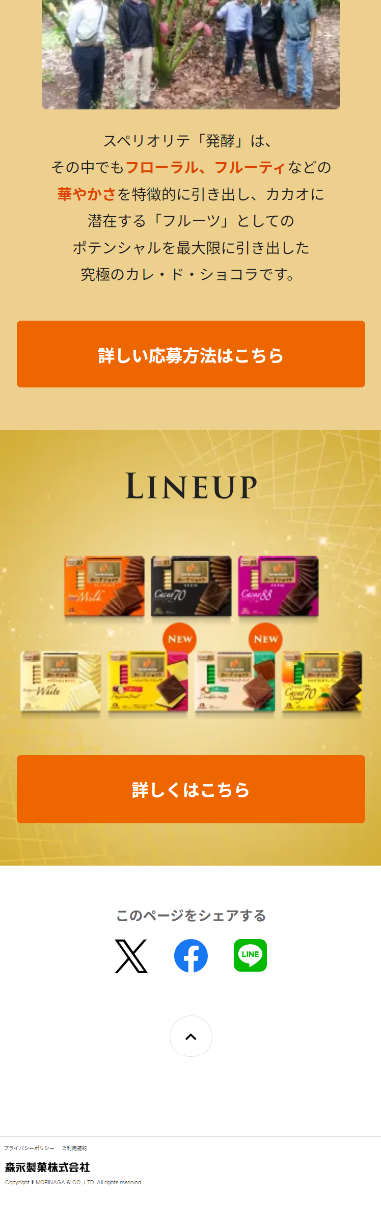 Carre de Chocolat LP design (Events, Campaigns, Gifts / Beige tones / Refined style) Mobile version