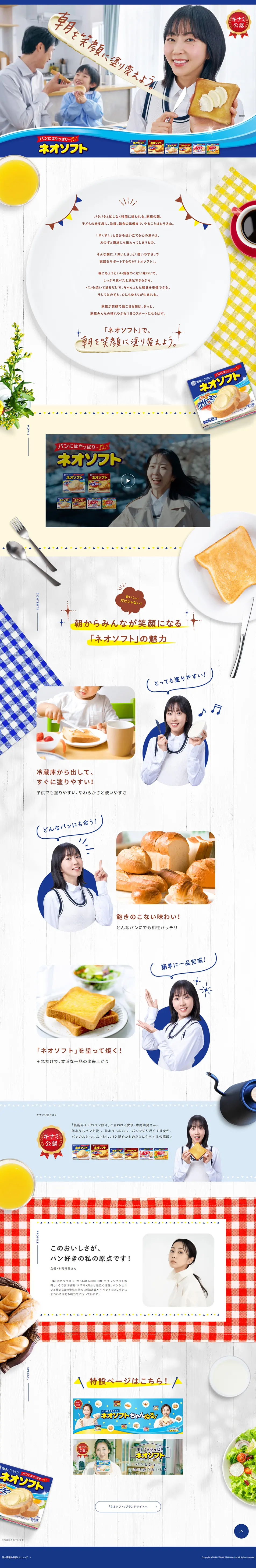 ネオソフトのLPデザイン（調味料・甘味料・ダシ・スープ／ブルー系／爽やか系）PC版