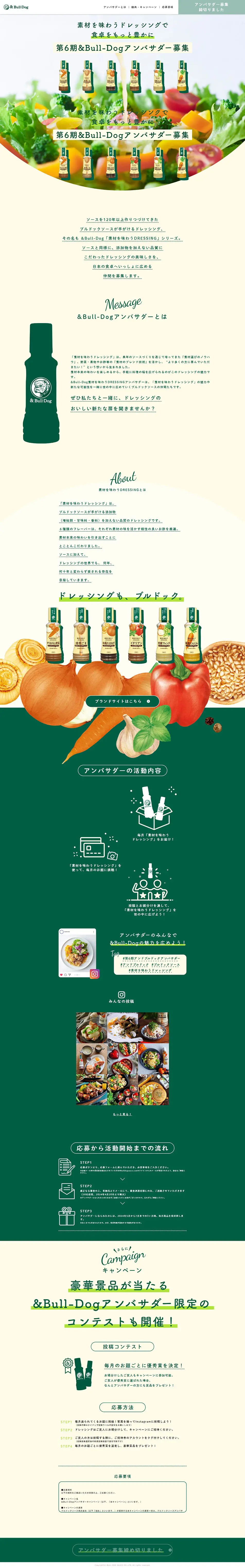 &Bull-DogアンバサダーのLPデザイン（コンテスト・コンクール／ベージュ系／シンプル系）PC版