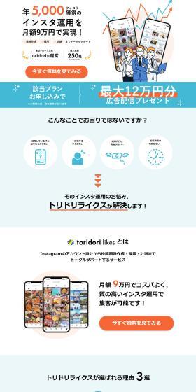 Instagram Management Service LP design (Rental, Contracting, and Outsourcing / Shades of blue / Trust and Safety) PC version
