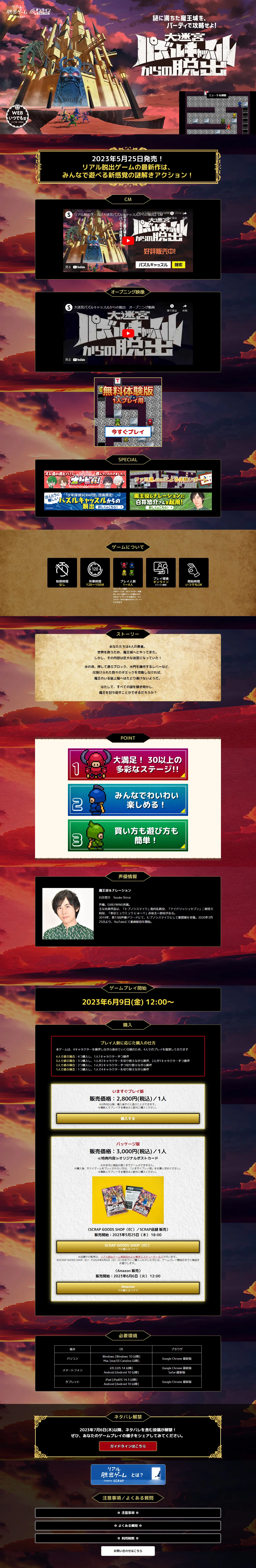 リアル脱出ゲーム『大迷宮パズルキャッスルからの脱出』のLPデザイン（イベント・キャンペーン・体験／ブラック系／かっこいい系）PC版
