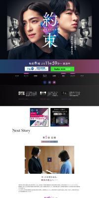 Promise: The Truth of the 16th Year LP design (television / Purples / Simple) PC version
