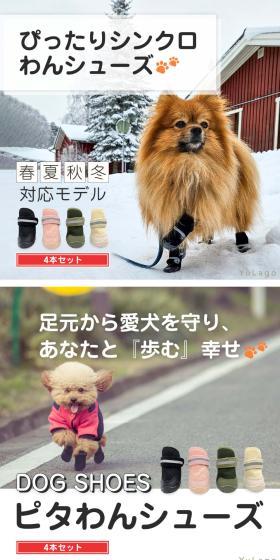 ぴったりシンクロわんシューズのLPデザイン（ペットフード ・ ペット用品／ホワイト系／スタイリッシュ系）スマホ版