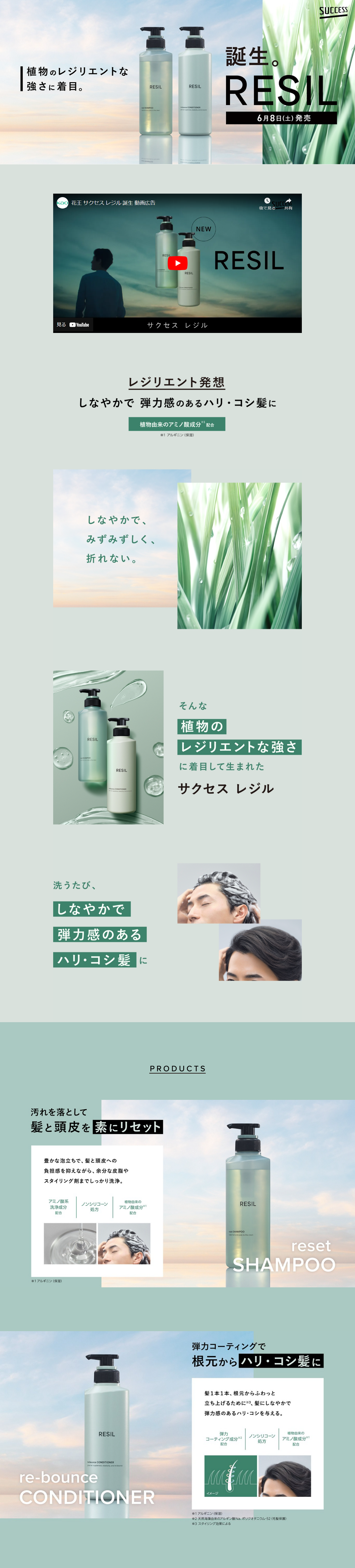 Success RESIL LP design (Skincare, Bodycare, Haircare / Green tones / Simple) PC version