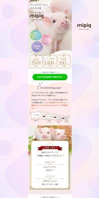 マイクロブタのLPデザイン（ペットフード ・ ペット用品／ピンク系／かわいい系）PC版