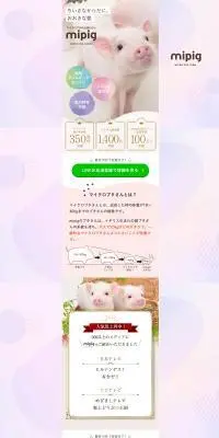 マイクロブタのLPデザイン（ペットフード ・ ペット用品／ピンク系／かわいい系）PC版