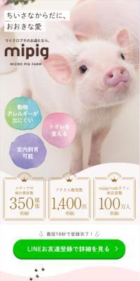 マイクロブタのLPデザイン（ペットフード ・ ペット用品／ピンク系／かわいい系）スマホ版