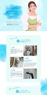 ecostore LP design (Businesses, companies, stores / Shades of blue / Clean-cut) PC version