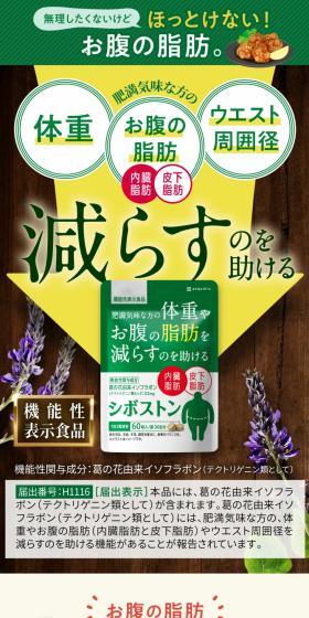 シボストンのLPデザイン(ダイエットサプリ・ダイエット飲料/グリーン系/健康・癒し系)スマホ版