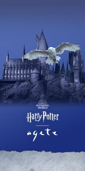 Harry Potter ageteのLPデザイン（レディースファッション／ブルー系／神秘系）スマホ版