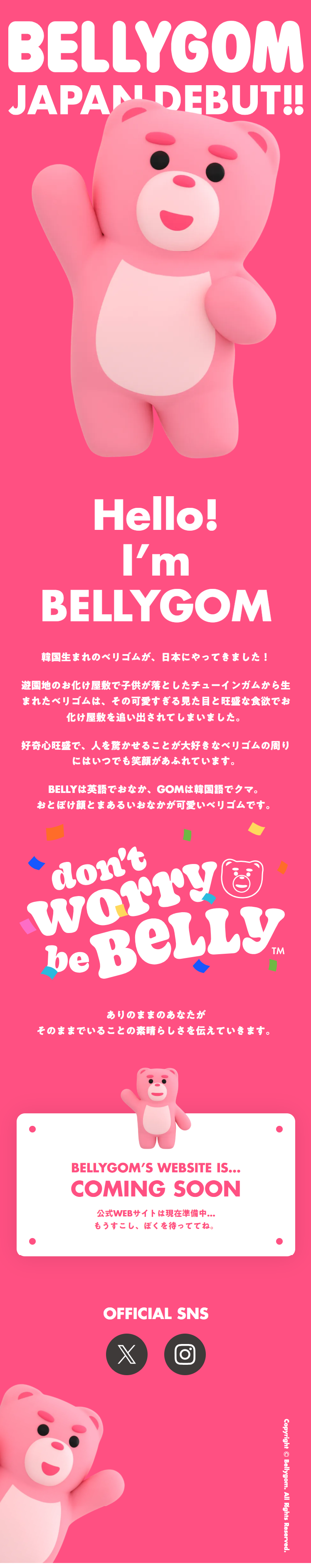 BELLYGOM LP design (Wallets, accessories,pouches / Pink shades / Cute style) Mobile version