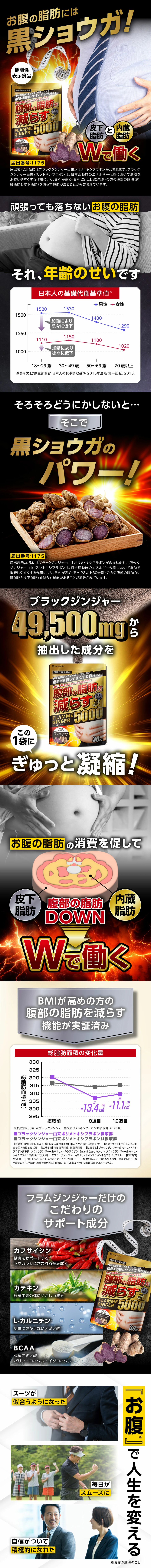 フラムジンジャーのLPデザイン（健康食品・健康ドリンク・サプリメント／ブラック系／にぎやか系）スマホ版