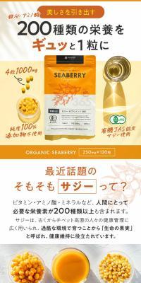 シーベリーのLPデザイン（健康食品・健康ドリンク・サプリメント／オレンジ系／シンプル系）スマホ版