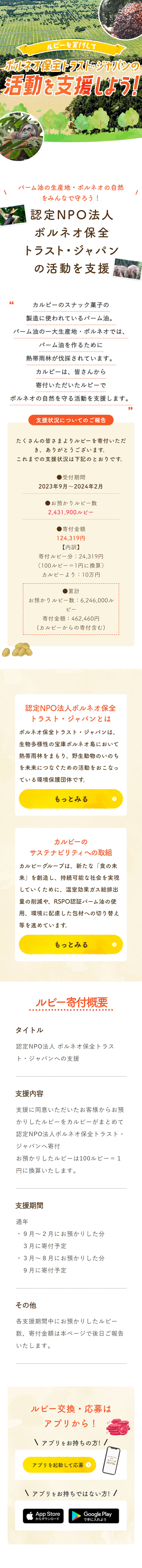 Donate Rubies and support the activities of Boruneo Hozen Torasuto Japan! LP design (Snack foods, gum, and candy / Green tones / Cute style) Mobile version