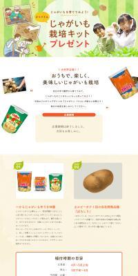 Original Potato Cultivation Kit Giveaway LP design (Snack foods, gum, and candy / Orange tones / Cute style) PC version