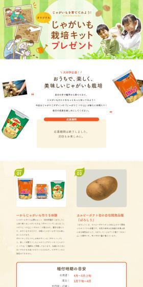 Original Potato Cultivation Kit Giveaway LP design (Snack foods, gum, and candy / Orange tones / Cute style) PC version