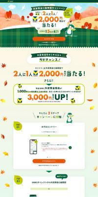 Foreign Currency Deposit Account Opening Campaign LP design (Insurance, Finance, Credit / Orange tones / Simple) PC version