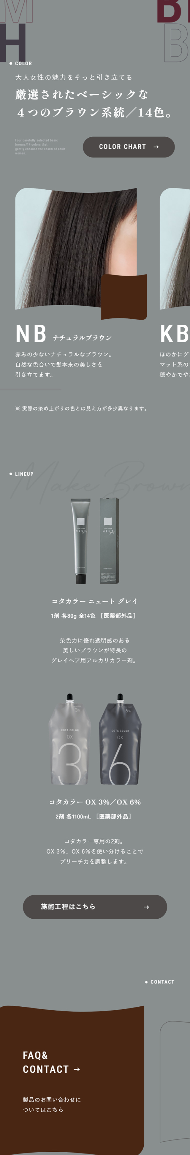 Kota Color Newt Gray LP design (Skincare, Bodycare, Haircare / Shades of grey / Simple) Mobile version