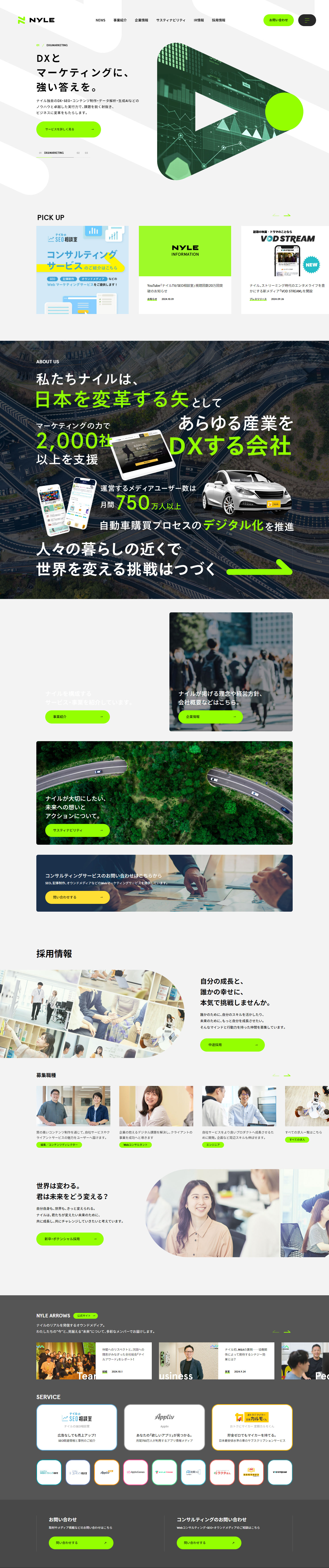 Nyle Inc. LP design (Businesses, companies, stores / Green tones / Simple) PC version