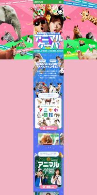 DJKOO and Hikorohi's Animal Keiba LP design (Events, Campaigns, Gifts / Multi-color type / Cute style) PC version