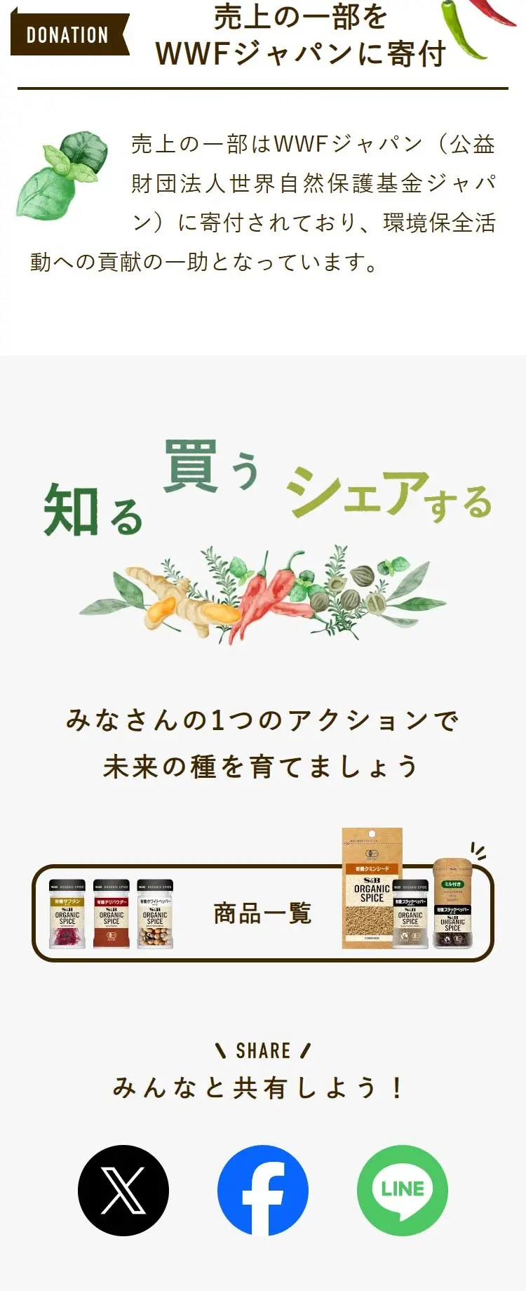 オーガニックスパイスからはじめる持続可能な社会のLPデザイン（調味料・甘味料・ダシ・スープ／ブラウン系／ナチュラル系）スマホ版