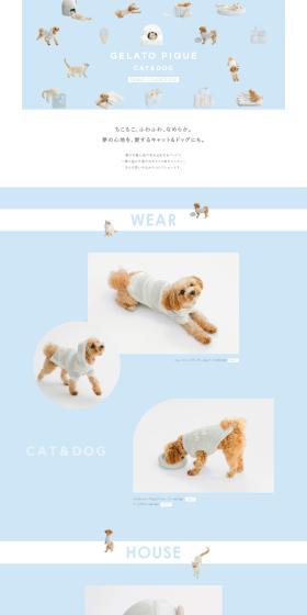 GELATO PIQUE CAT＆DOG DEBUT COLLECTIONのLPデザイン（ペットフード ・ ペット用品／ブルー系／かわいい系）PC版