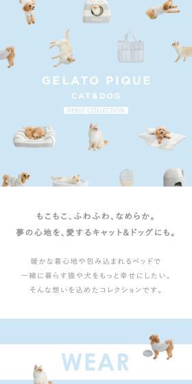 GELATO PIQUE CAT＆DOG DEBUT COLLECTIONのLPデザイン（ペットフード ・ ペット用品／ブルー系／かわいい系）スマホ版