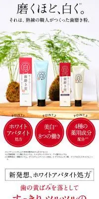 薬用ホワイトニングペーストのLPデザイン（洗剤・洗濯・掃除用品／ホワイト系／清潔系）スマホ版