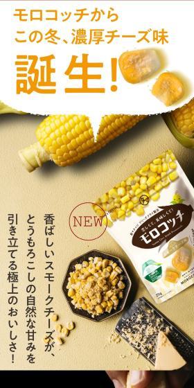 モロコッチのLPデザイン（フルーツ・果物・野菜／イエロー系／信頼・安心系）スマホ版