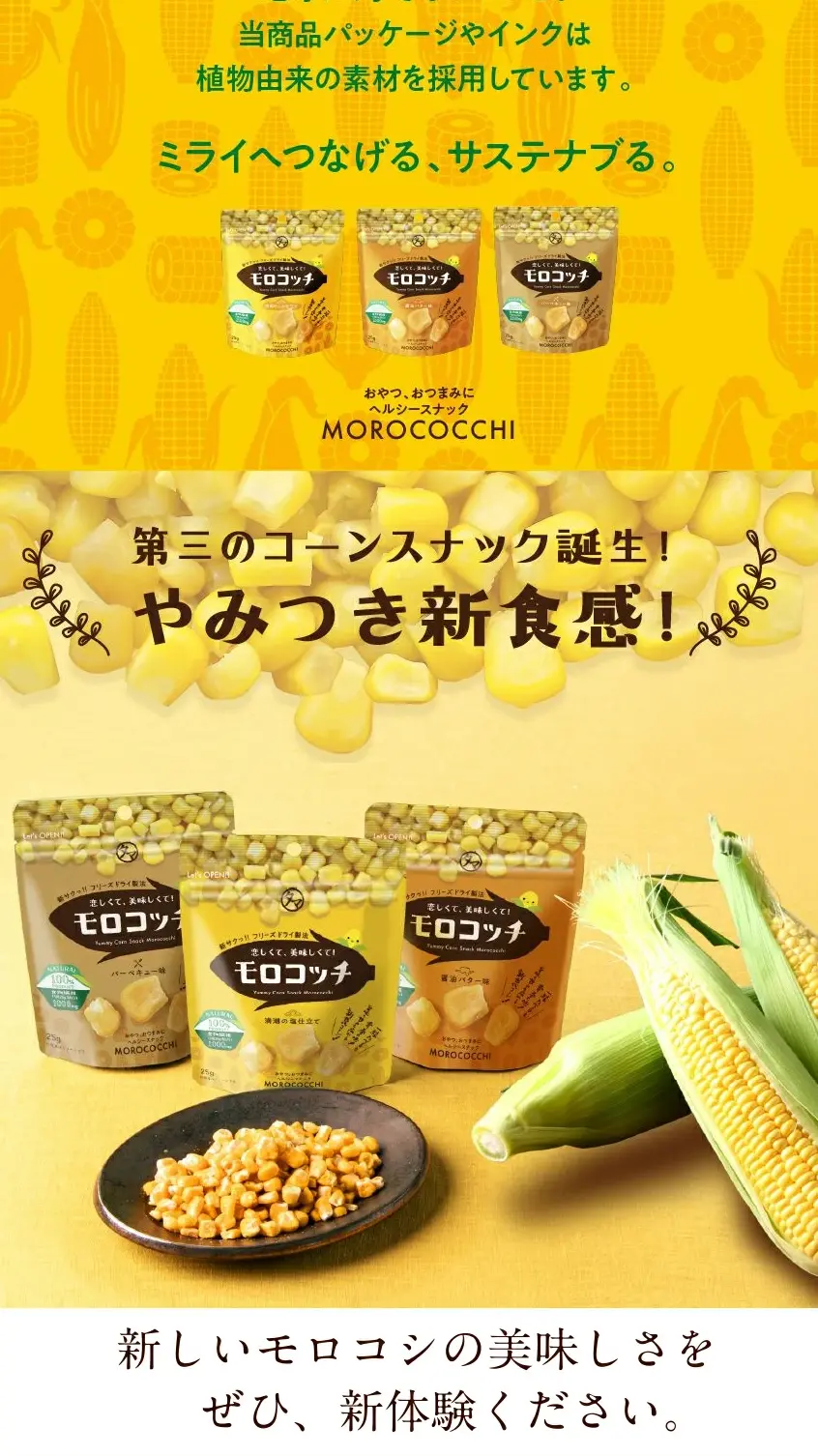 モロコッチのLPデザイン（フルーツ・果物・野菜／イエロー系／信頼・安心系）スマホ版