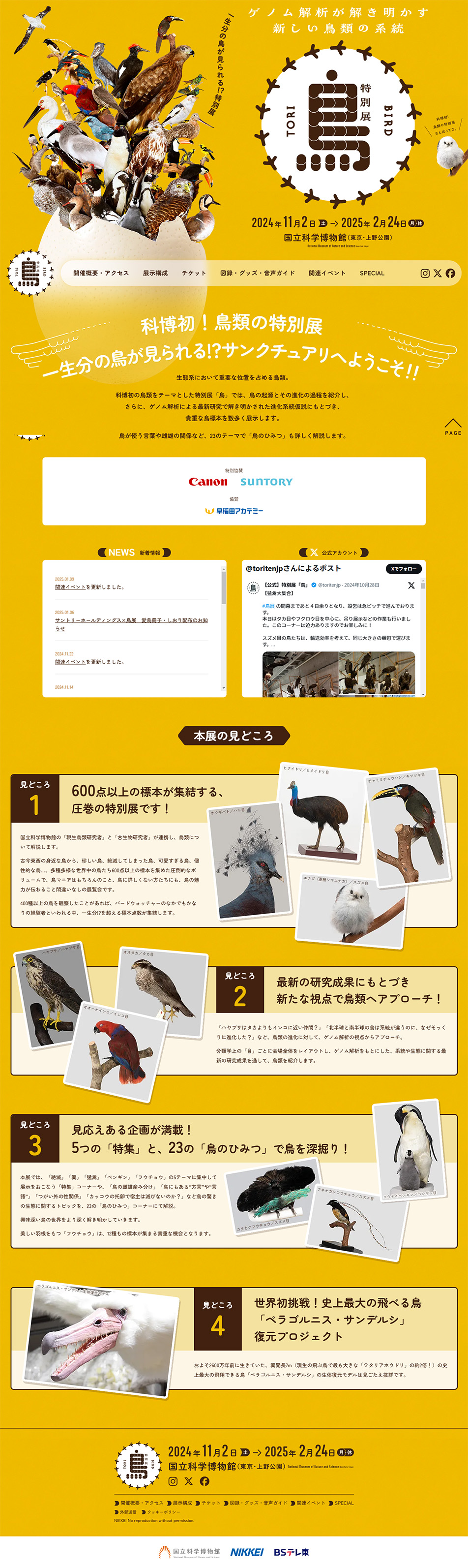 特別展「鳥 ～ゲノム解析が解き明かす新しい鳥類の系統～」のLPデザイン（イベント・キャンペーン・体験／イエロー系／にぎやか系）PC版