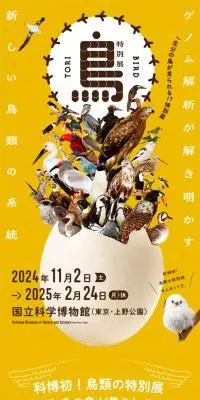 特別展「鳥 ～ゲノム解析が解き明かす新しい鳥類の系統～」のLPデザイン（イベント・キャンペーン・体験／イエロー系／にぎやか系）スマホ版