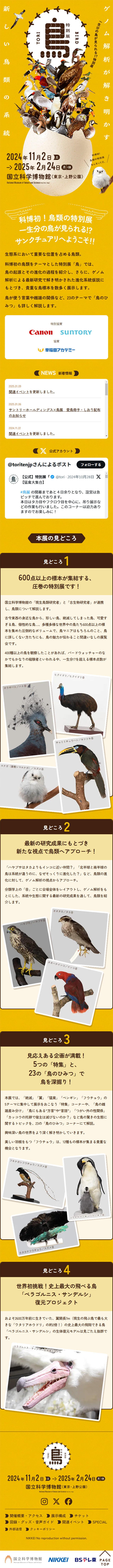 特別展「鳥 ～ゲノム解析が解き明かす新しい鳥類の系統～」のLPデザイン（イベント・キャンペーン・体験／イエロー系／にぎやか系）スマホ版