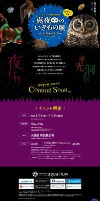 Midnight Creatures Exhibition LP design (Events, Campaigns, Experiences / Purples / Lively type) PC version