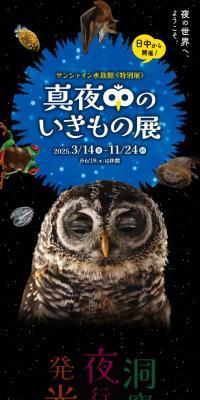 真夜中のいきもの展のLPデザイン（イベント・キャンペーン・体験／パープル系／にぎやか系）スマホ版