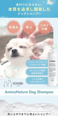 ICHIBI -いちび- AminoNature Dog ShampooのLPデザイン（ペットフード ・ ペット用品／ブルー系／キレイ系）スマホ版