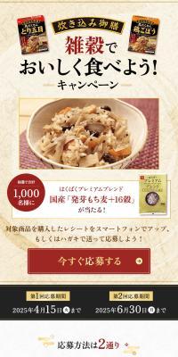 炊き込み御膳 雑炊でおいしく食べよう！キャンペーンのLPデザイン（レトルト・インスタント／ゴールド系／和風系）スマホ版