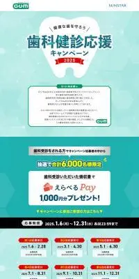歯科検診応援キャンペーンのLPデザイン（イベント・キャンペーン・体験／グリーン系／シンプル系）PC版