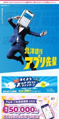 北洋銀行アプリのLPデザイン（保険・金融・クレジット／ブルー系／スタイリッシュ系）スマホ版