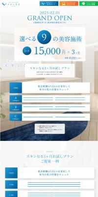 SkinNaru 3-month Trial Plan LP design (este / Shades of blue / Simple) PC version