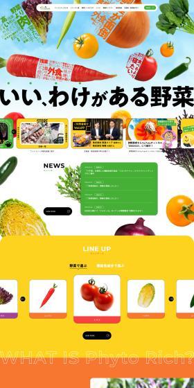 PhytoRich LP design (Businesses, companies, stores / Multi-color type / Lively type) PC version