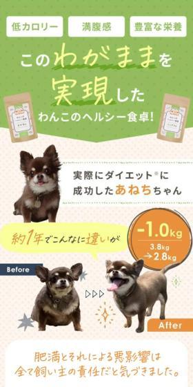 わんこのヘルシー食卓のLPデザイン（ペットフード ・ ペット用品／オレンジ系／かわいい系）スマホ版