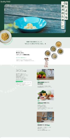 BuddyFOOD LP design (Pet food and pet supplies / Green tones / Simple) PC version