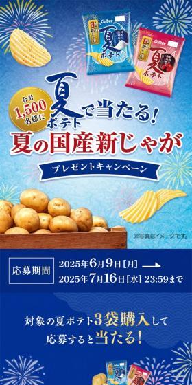 夏ポテトで当たる！夏の国産新じゃがプレゼントキャンペーンのLPデザイン（イベント・キャンペーン・ギフト／ブルー系／にぎやか系）スマホ版