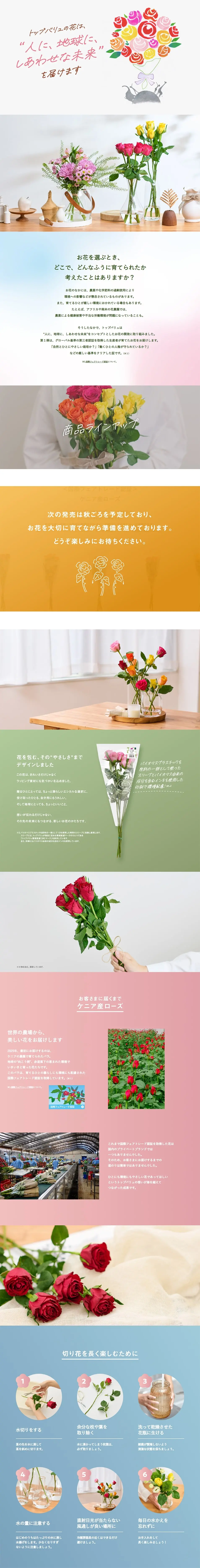 トップバリュ　切り花のLPデザイン（花・観葉植物・造花／ピンク系／シンプル系）PC版