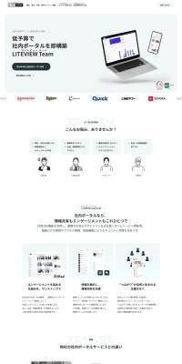 LITEVIEWTeam LP design (Design, Apps, Systems / White-based / Simple) PC version
