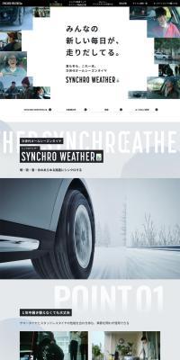 SYNCHROWEATHER LP design (Automotive Body and Accessories / Shades of grey / Stylish type) PC version